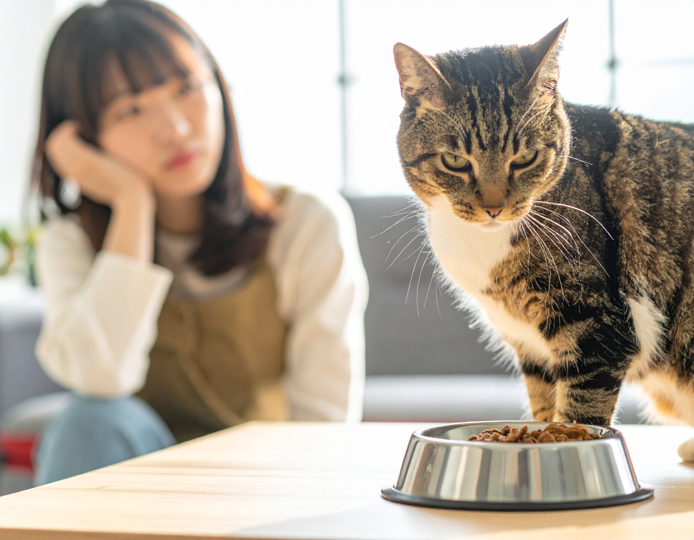 แมวกินยาก หรือจริง ๆ แล้วแมวเลือกกินอาหารเพราะอะไร